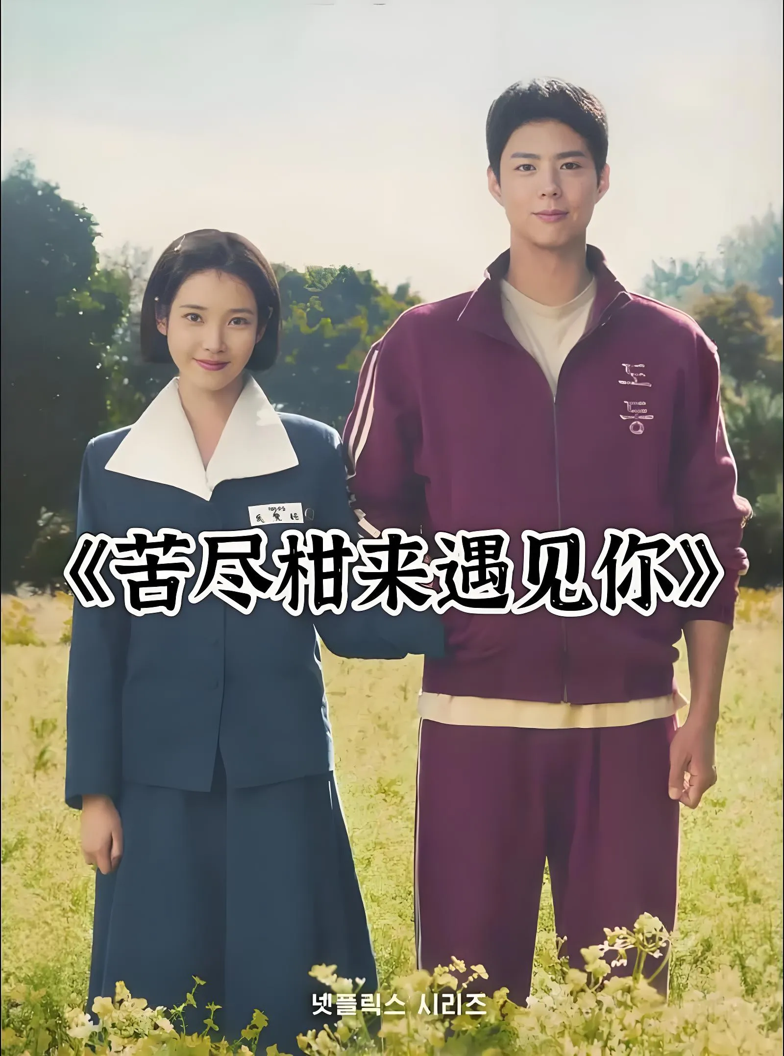 苦尽柑来遇见你电视剧资源 - 南图博客 - 优质稀缺资源发布平台,努力创造一个顶级资源站